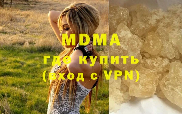 молекула духа Богданович